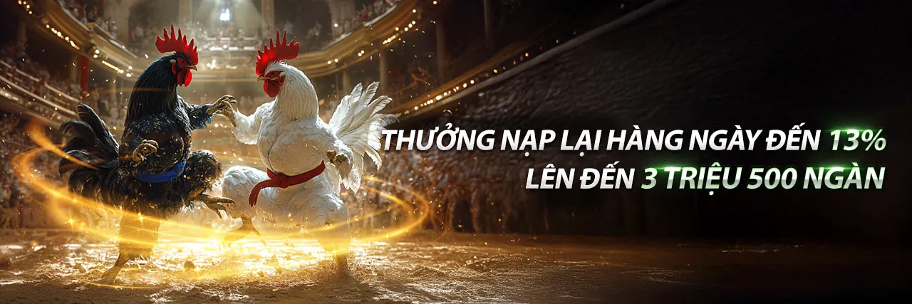 Hình ảnh sân vận động với không khí cá cược thể thao sôi động tại 888slot code